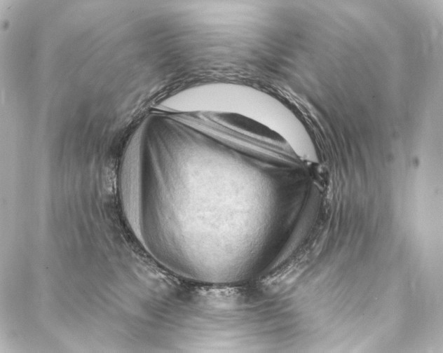 X0000087030517200705141925