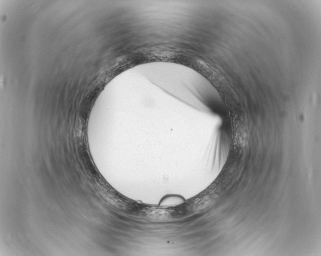 X0000087030518200705141925