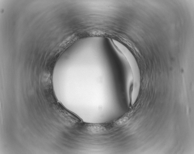 X0000087030521200705141925