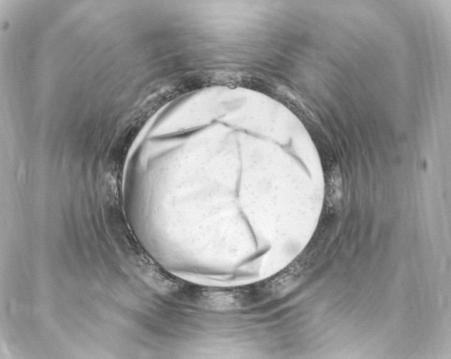 X0000087030522200705141925