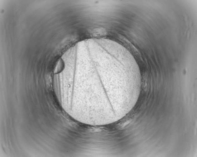 X0000087030523200705141925