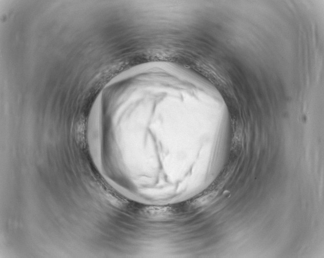 X0000087030526200705141925