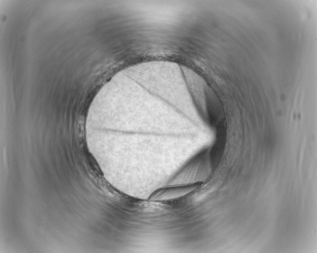 X0000087030528200705141925