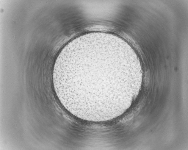 X0000087030529200705141924