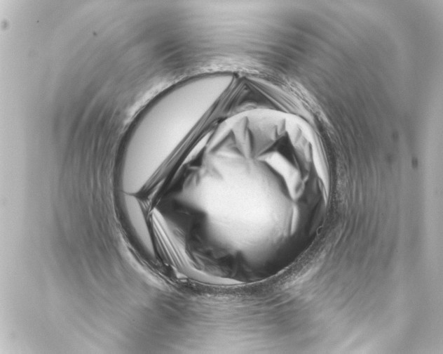 X0000087030530200705141924