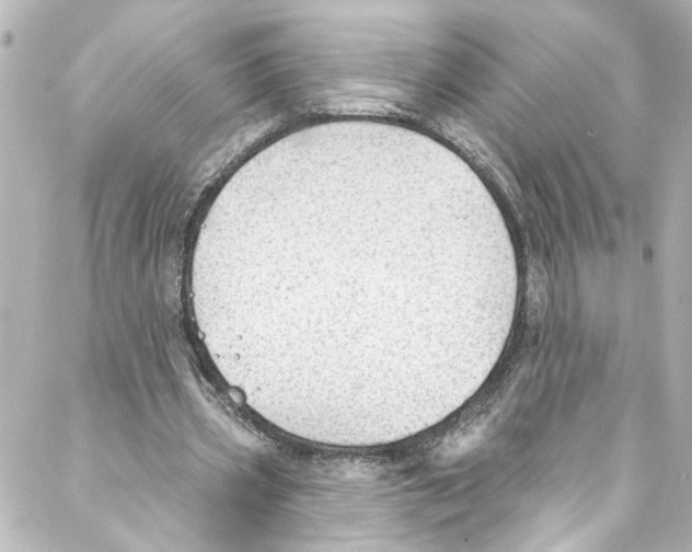 X0000087030533200705141924