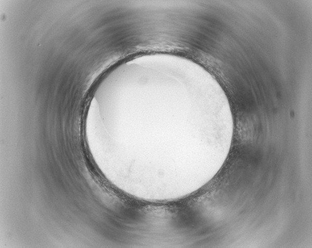 X0000087030534200705141924