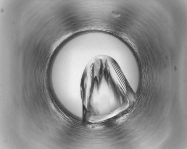 X0000087030536200705141924