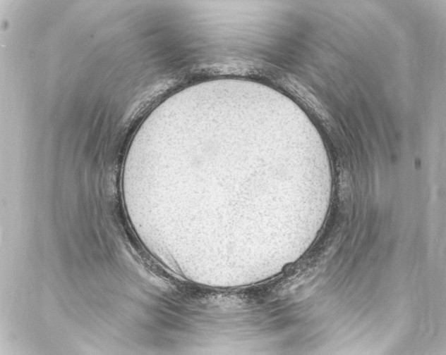 X0000087030537200705141924