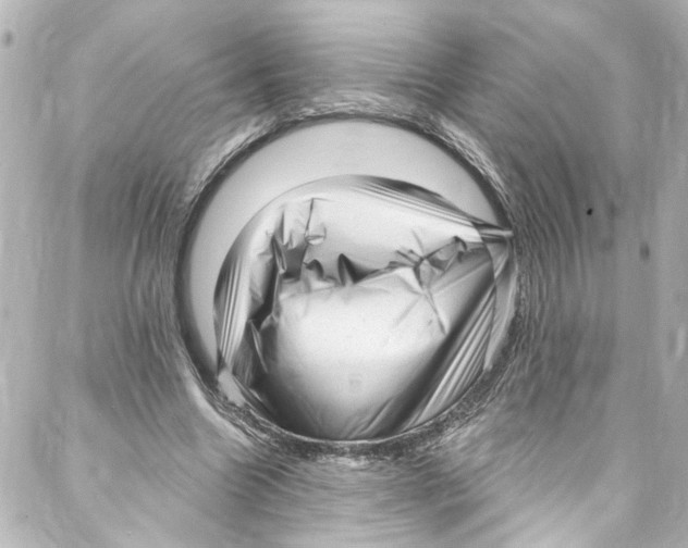 X0000087030538200705141924