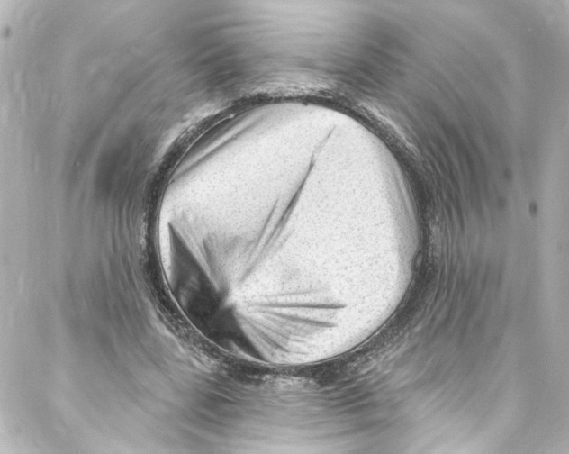 X0000087030539200705141924