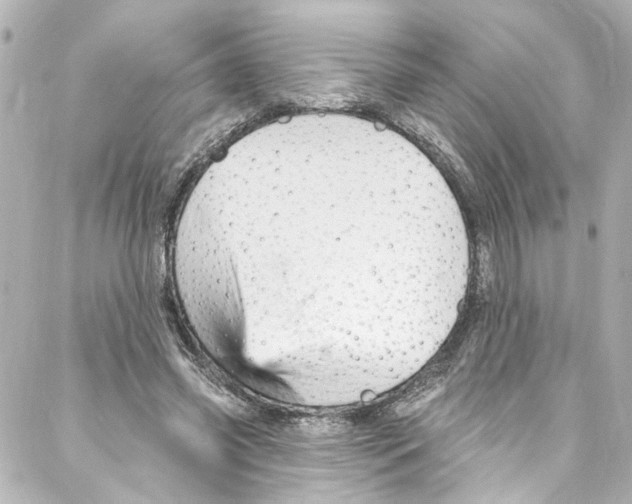 X0000087030541200705141924