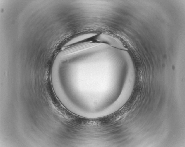 X0000087030546200705141924