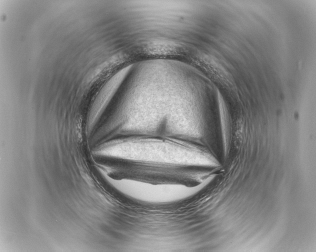 X0000087030547200705141925