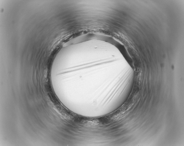 X0000087030548200705141925