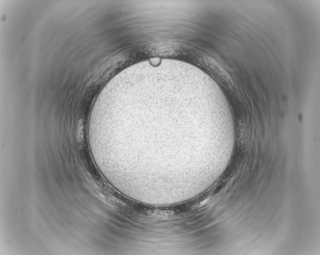 X0000087030549200705141925