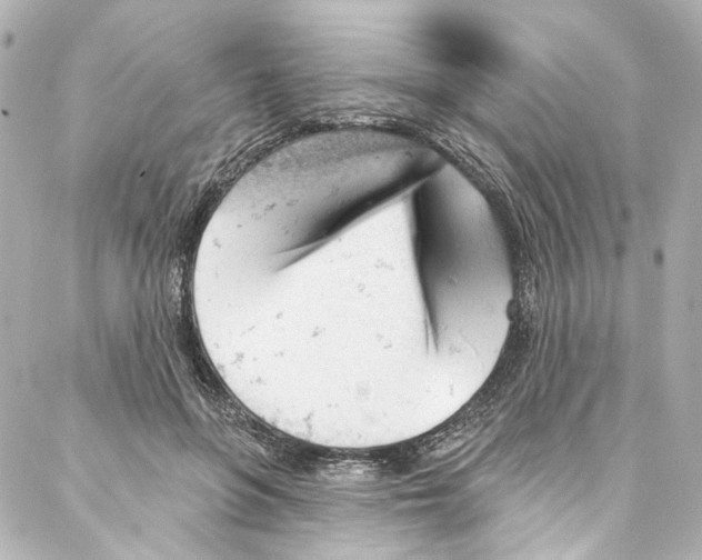 X0000087030551200705141925