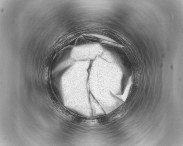 X0000087030554200705141925