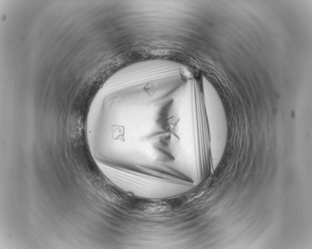 X0000087030555200705141925