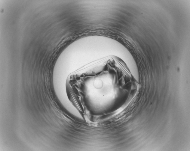 X0000087030558200705141925