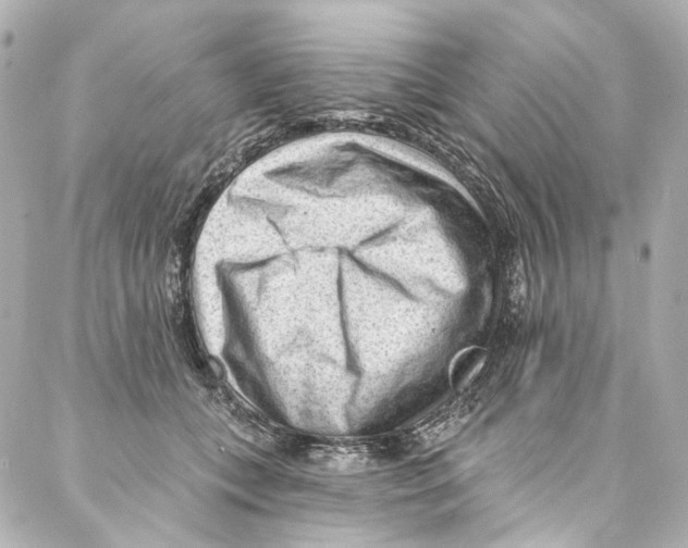 X0000087030559200705141925