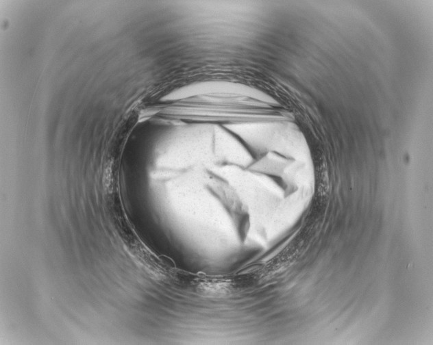 X0000087030560200705141925