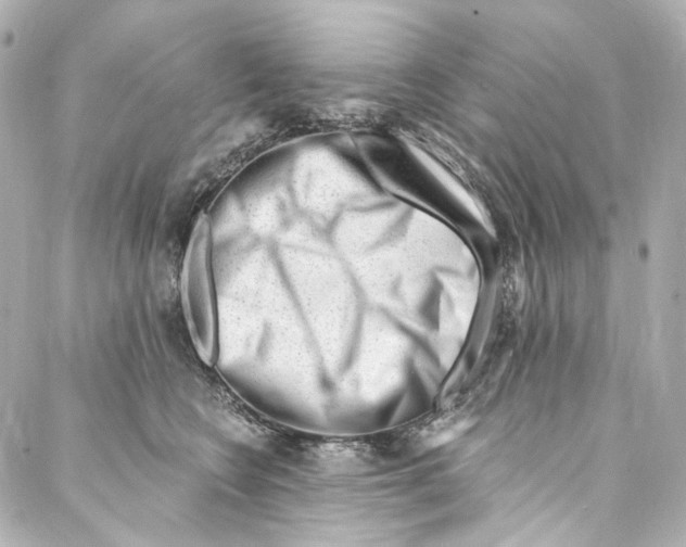 X0000087030566200705141925