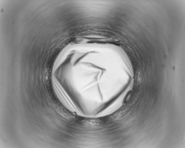 X0000087030567200705141925