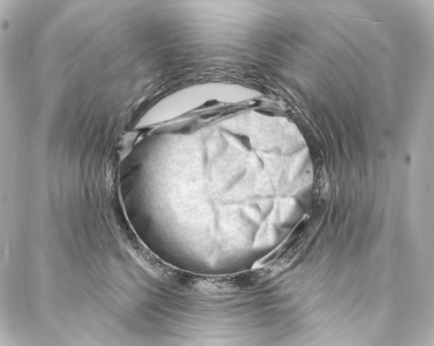 X0000087030568200705141925