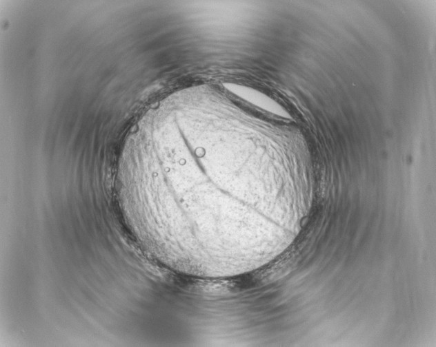 X0000087030569200705141925