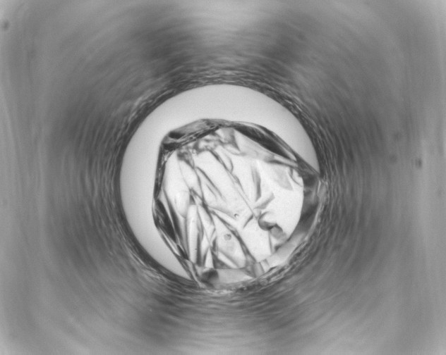 X0000087030570200705141925