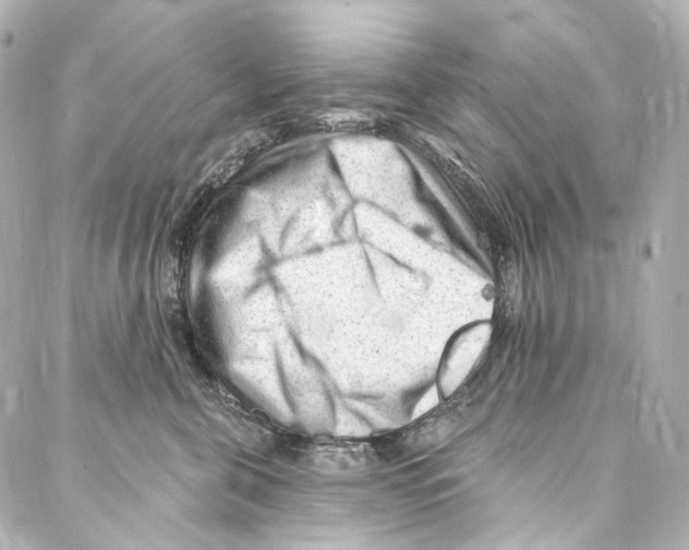 X0000087030571200705141925