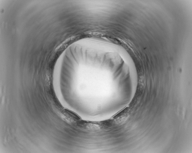 X0000087030572200705141925