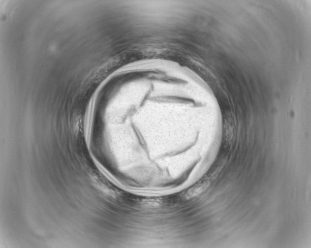 X0000087030574200705141925