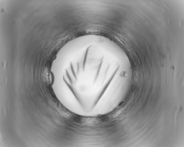 X0000087030575200705141925