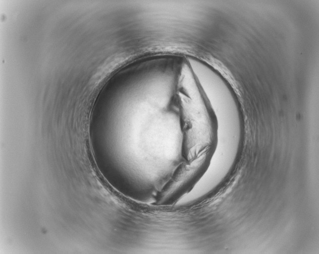 X0000087030577200705141924