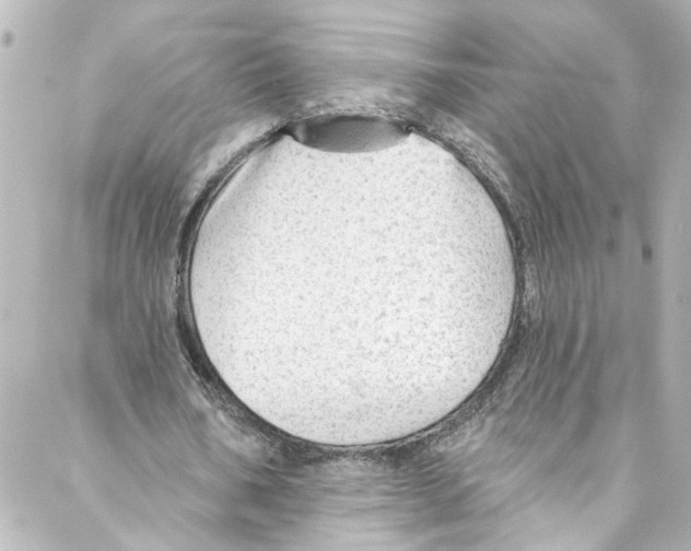 X0000087030578200705141924