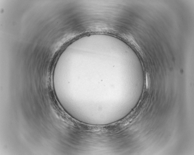 X0000087030579200705141924