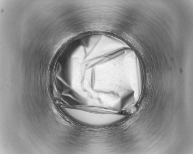 X0000087030580200705141924