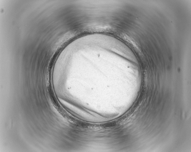 X0000087030582200705141924