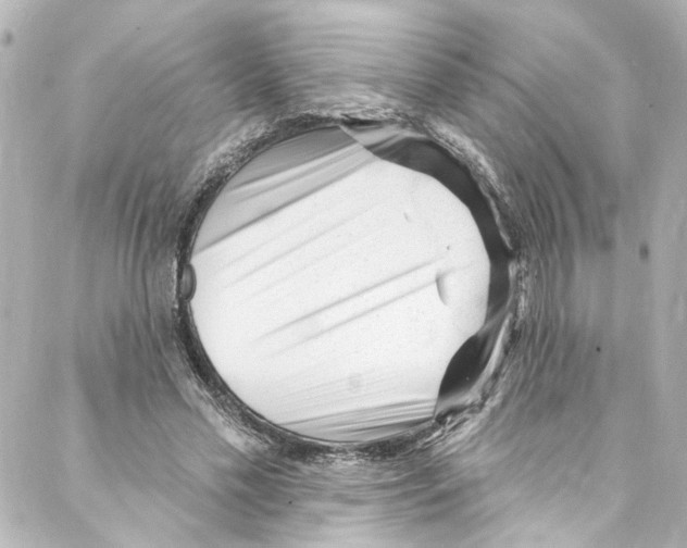 X0000087030589200705141924