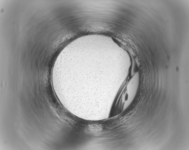 X0000087030591200705141924