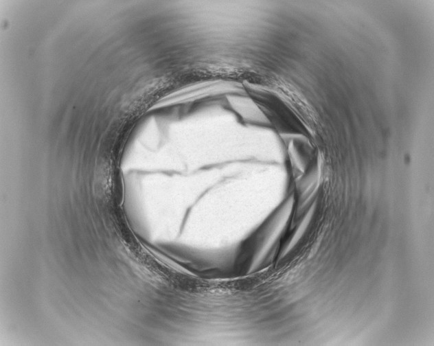 X0000087030593200705141924