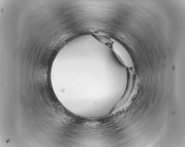 X0000087030595200705141924