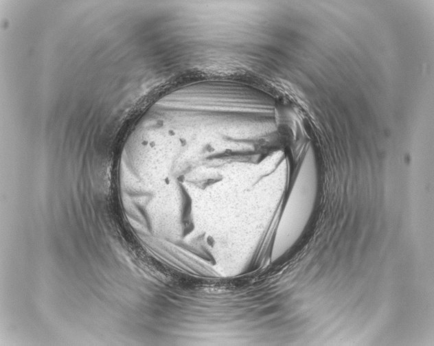 X0000087030596200705141924