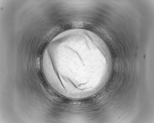 X0000087030598200705141924