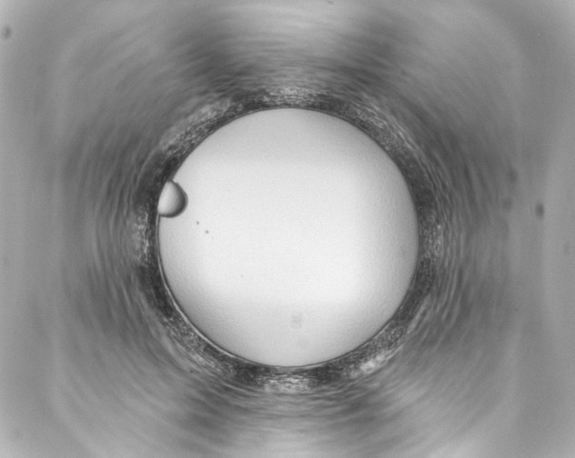 X0000087030599200705141924