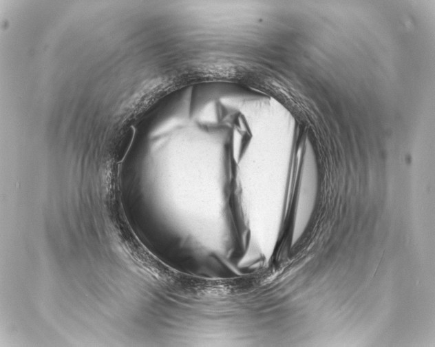 X0000087030600200705141924