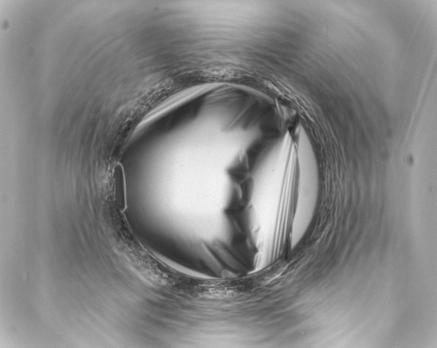 X0000087030601200705141924