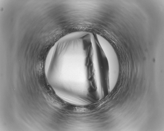 X0000087030605200705141924